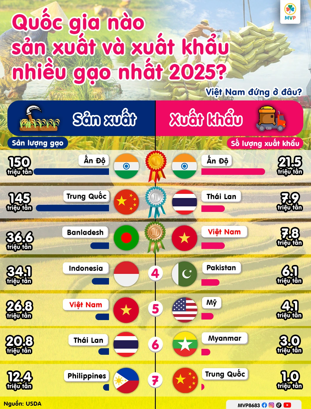 Nông dân Việt Nam thu hoạch lúa trên cánh đồng công nghệ cao